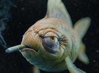 他创作“黑暗”风格卡通人物，小猪佩奇的纹身竟然是自己