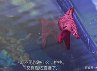 动漫界最出名的四只海星，相信爱看动漫的你全认识