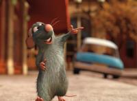 《美食总动员》，人人唾弃的老鼠变成食神接班人，励志鼠闪亮登场