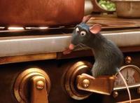 《美食总动员》，人人唾弃的老鼠变成食神接班人，励志鼠闪亮登场