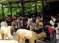 成了动漫节分会场，一天5万人涌入，杭州野生动物世界游客量再创新高