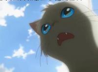 盘点2020将要上映的日漫，每一部都吹爆