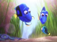 话痨多莉的烦恼升级，面对缺陷和独特，是她“成长”的一部分