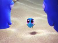 话痨多莉的烦恼升级，面对缺陷和独特，是她“成长”的一部分