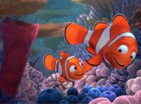 《海底总动员》：用伟大的亲情描绘“奇迹”的篇章