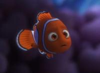 《海底总动员》：用伟大的亲情描绘“奇迹”的篇章