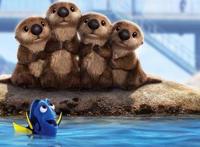 《海底总动员2》多莉去哪儿：想女孩不迷路，穿过小吃街就到了