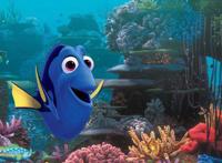 盘点《海底总动员2：多莉去哪儿》中的那些可爱角色