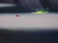 《红猪》飞翔的红猪与宫崎骏的浪漫