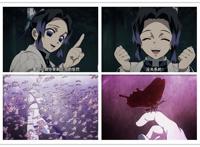 鬼灭之刃：初见蝴蝶忍只感觉是笑面虎降临，却被大呼出手办