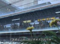 如果只能推荐一部动漫，言叶之庭可曾扰乱你的心扉？