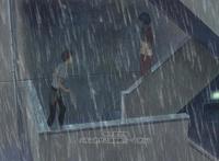 最美的意外补番推荐——言叶之庭