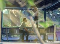 言叶之庭：新海诚监督作品，那些年追过的动漫！深入灵魂的孤悲