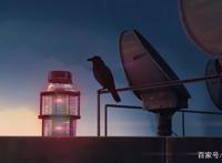 在动漫里，若论物语，日本比我们懂得多，浅说《言叶之庭》