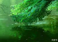 《言叶之庭》动漫中最美的脚，出自新海诚之手，美到窒息！