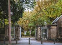 东京新宿御苑打卡动漫《言叶之庭》同款视角