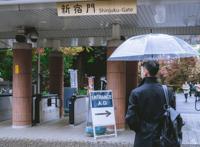 东京新宿御苑打卡动漫《言叶之庭》同款视角