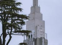 东京新宿御苑打卡动漫《言叶之庭》同款视角