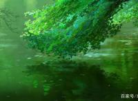 《言叶之庭》：因为新海诚的这部动画，从此爱上了下雨天