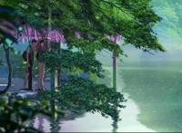 最唯美的禁忌之恋：《言叶之庭》