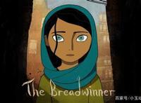 《养家之人》：硝烟中绽放的希望之花