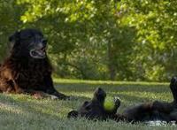 话题国片《破处》登场、《蓝色恐惧》领衔五部影史经典大银幕重映