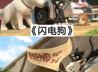 推荐12部动漫电影，你们都看过哪几部？