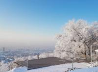 人这辈子，其实，也就这样