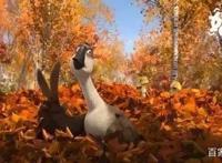 《妈妈咪鸭》讲了一个好故事，其他并没那么重要