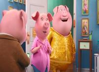 可爱有趣的cosplay来自《欢乐好声音》的“猪搭档”