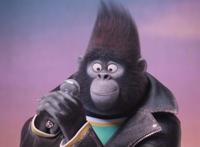 《欢乐好声音》音乐的力量，比我们想象中要更加强大