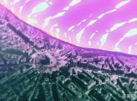 这部日本动画片，风格浓烈，每一帧都是视觉暴击！