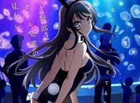 青春猪头少年一定会遇到怀梦美少女