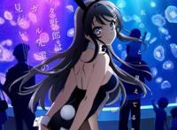 番剧推荐室02——《青春猪头少年不会梦到兔女郎学姐》