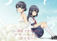 你真的看懂了《青春猪头少年》的剧场版吗？这些细节都不能疏漏