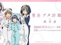 剧场版《青春猪头少年不会梦到怀梦美少女》即将于6月15日上映