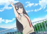 《青春猪头少年不会梦到怀梦美少女》这个番的内涵真的太深了