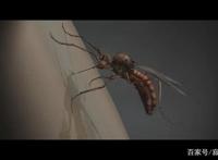 心理治疗或心理阴影？超赞的《盗梦特攻队》