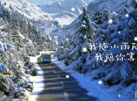 《熊出没·狂野大陆》发布徐佳莹主题曲MV，父女情引共鸣！