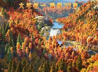 《熊出没·狂野大陆》超前观影赢口碑获赞春节档最佳合家欢影片