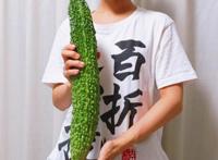 动漫趣闻：本田真凛Cos蝴蝶忍，美少女作监展示超大苦瓜！