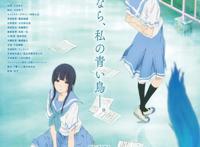 又是一年毕业季，应该和TA选同一所大学吗？