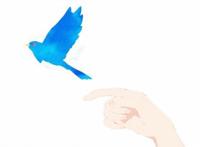 评分直冲9.0，第二个吉卜力的巅峰，这部动画我还要再看一遍