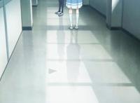 日本教室窗户隐藏的秘密，在《利兹与青鸟》动画中暗喻什么？