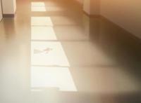 日本教室窗户隐藏的秘密，在《利兹与青鸟》动画中暗喻什么？