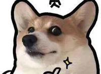 1月新番全看过了没事做？2019年TOP10部动画追起来