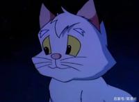 小贝流浪记，国内“最具教育意义的动画”，成就了一只会飞的猫