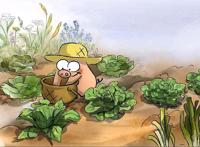 假期期间不知道看啥？大坏狐狸的故事了解一下