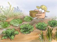 法式小清新动画《大坏狐狸的故事》很萌很可爱