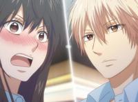 一年两季，这些番是批量制造的么？